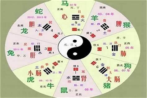 五行符|符字的五行属性